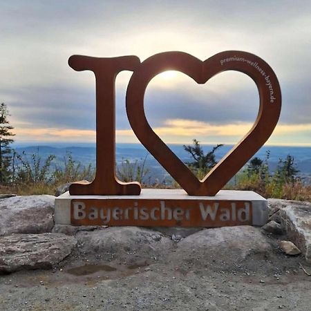 Traumblick Bayerischer Wald, Pool & Sauna, Getraenke, Klimaanlage 弗赖翁 外观 照片