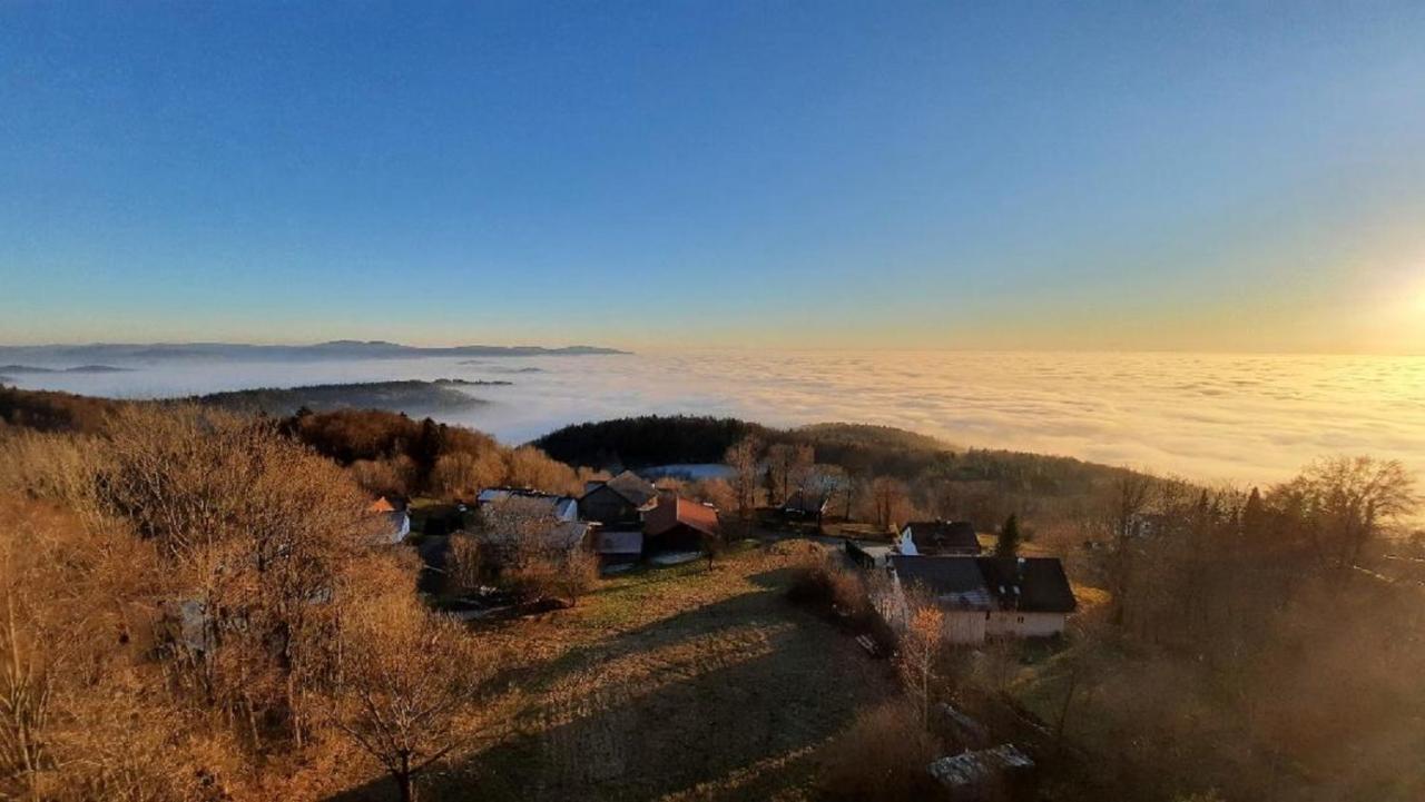 Traumblick Bayerischer Wald, Pool & Sauna, Getraenke, Klimaanlage 弗赖翁 外观 照片