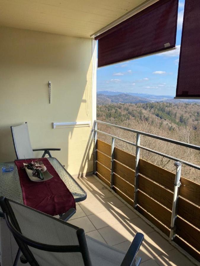Traumblick Bayerischer Wald, Pool & Sauna, Getraenke, Klimaanlage 弗赖翁 外观 照片