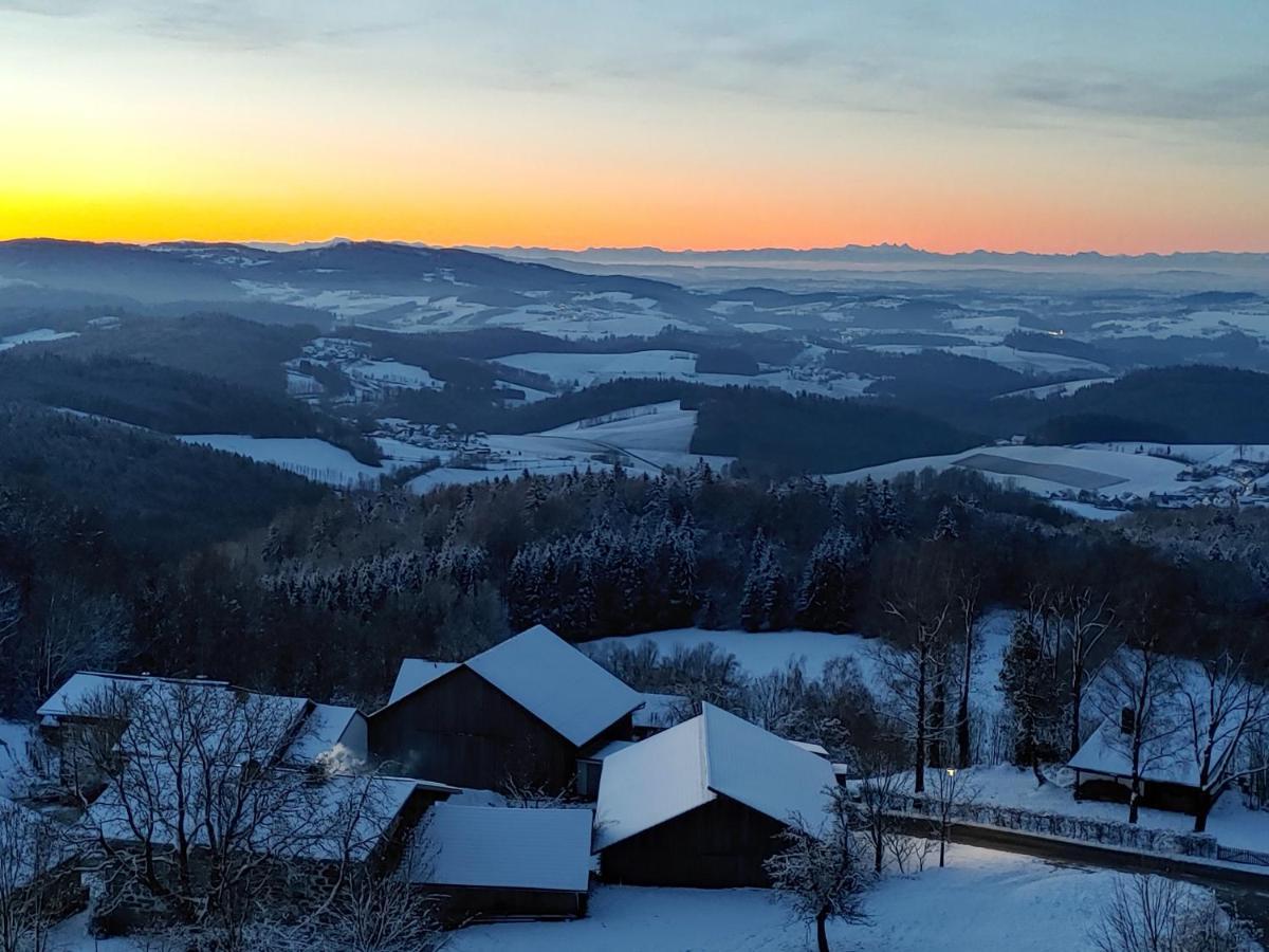 Traumblick Bayerischer Wald, Pool & Sauna, Getraenke, Klimaanlage 弗赖翁 外观 照片