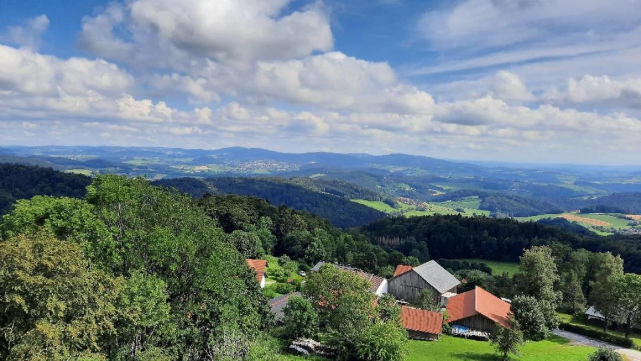 Traumblick Bayerischer Wald, Pool & Sauna, Getraenke, Klimaanlage 弗赖翁 外观 照片