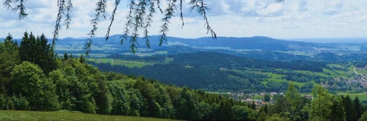 Traumblick Bayerischer Wald, Pool & Sauna, Getraenke, Klimaanlage 弗赖翁 外观 照片