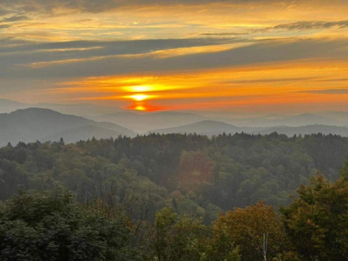 Traumblick Bayerischer Wald, Pool & Sauna, Getraenke, Klimaanlage 弗赖翁 外观 照片