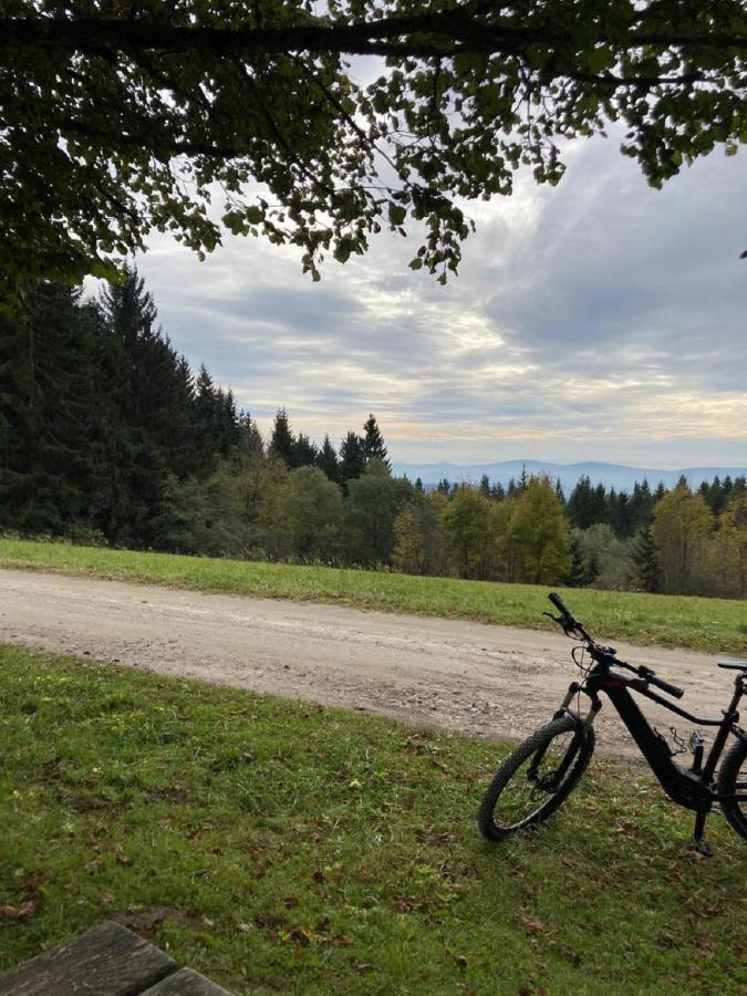 Traumblick Bayerischer Wald, Pool & Sauna, Getraenke, Klimaanlage 弗赖翁 外观 照片