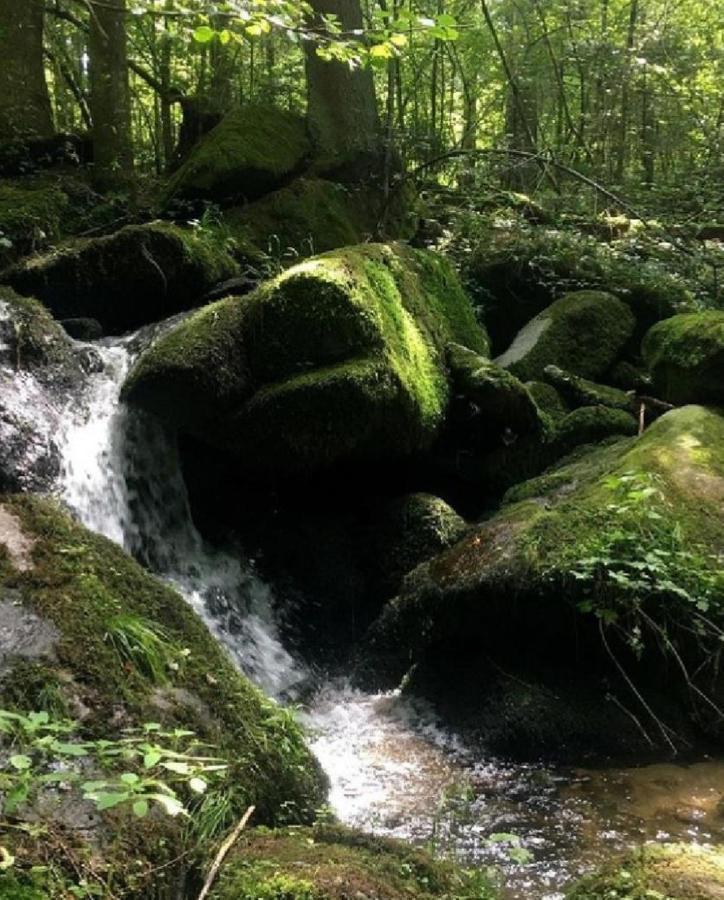 Traumblick Bayerischer Wald, Pool & Sauna, Getraenke, Klimaanlage 弗赖翁 外观 照片