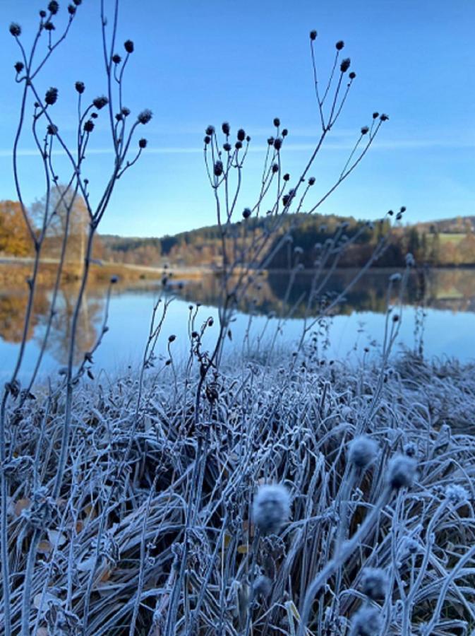 Traumblick Bayerischer Wald, Pool & Sauna, Getraenke, Klimaanlage 弗赖翁 外观 照片