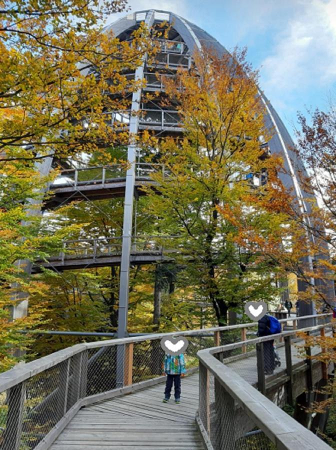 Traumblick Bayerischer Wald, Pool & Sauna, Getraenke, Klimaanlage 弗赖翁 外观 照片