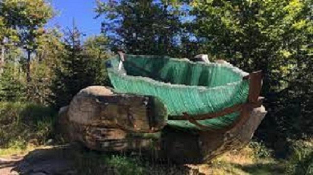 Traumblick Bayerischer Wald, Pool & Sauna, Getraenke, Klimaanlage 弗赖翁 外观 照片