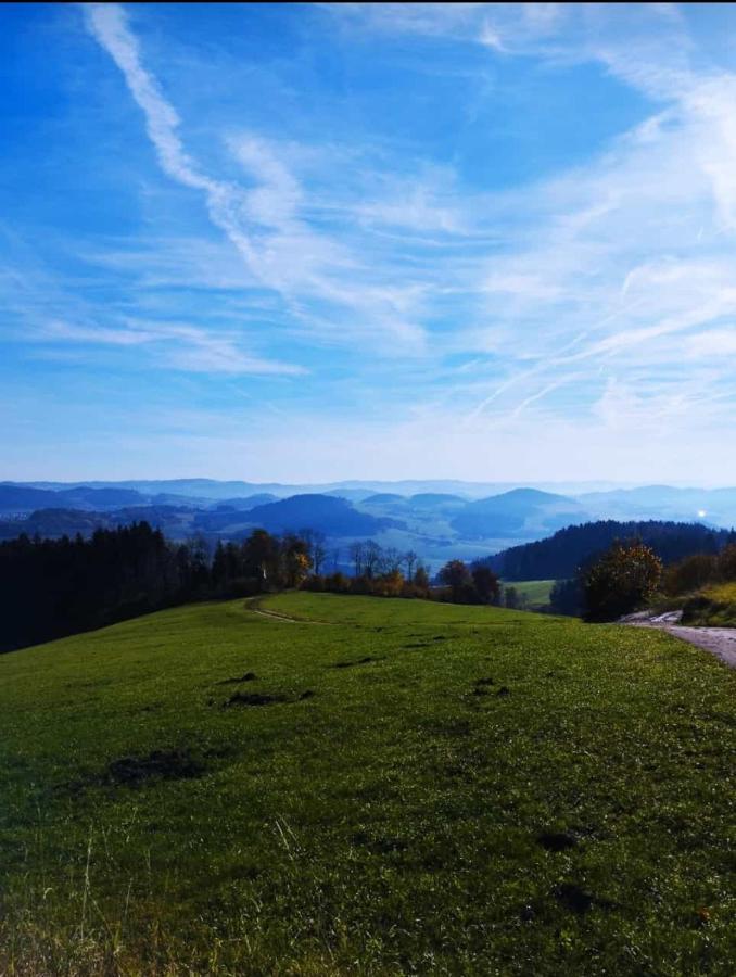 Traumblick Bayerischer Wald, Pool & Sauna, Getraenke, Klimaanlage 弗赖翁 外观 照片