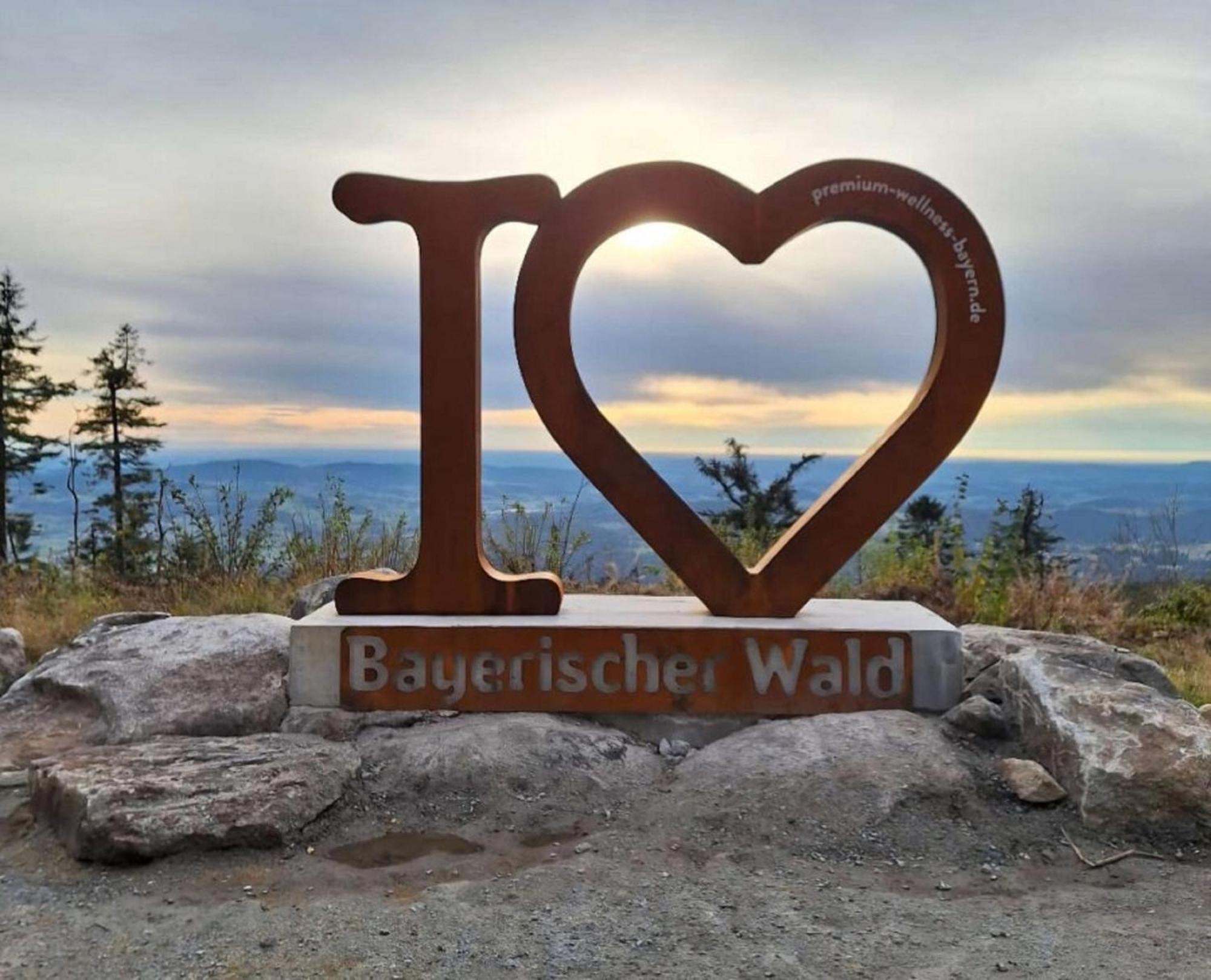 Traumblick Bayerischer Wald, Pool & Sauna, Getraenke, Klimaanlage 弗赖翁 外观 照片